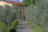 Toskana_44