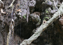 Zypern32